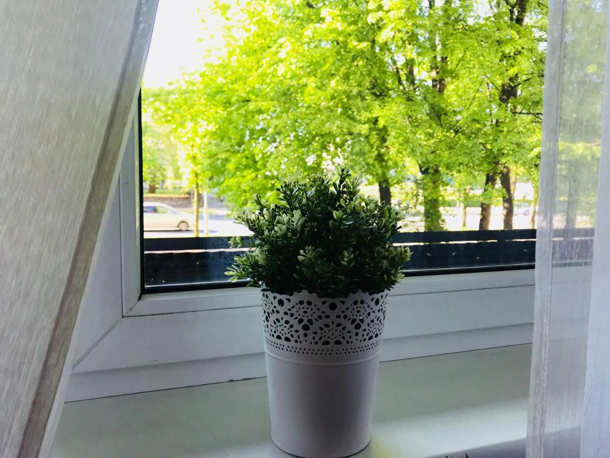 Гостевой дом Savan Guest House 