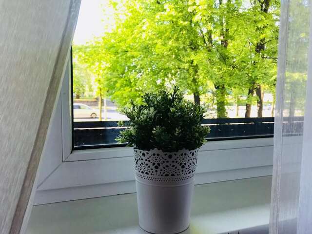 Гостевой дом Savan Guest House 